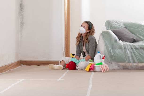 Reliable Mold Cleanup contractor in Berlin, MD by WQB Mold Removal